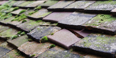 Mortimer roof repair costs